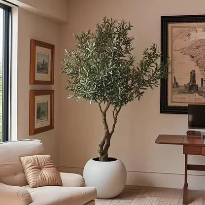 Omni Ritual | Faux Olive Tree