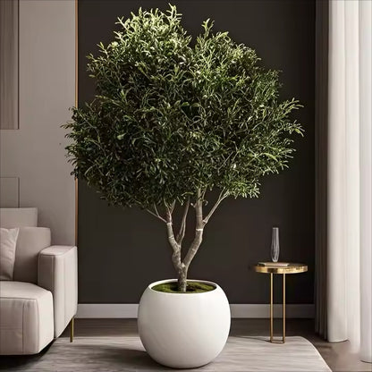 Omni Ritual | Faux Olive Tree